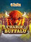 Charge Buffalo